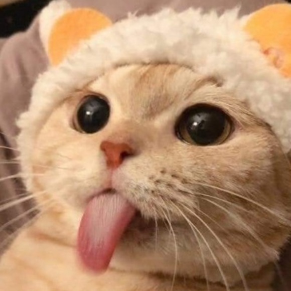 Meet your Posher, James - Picture 1 of 1